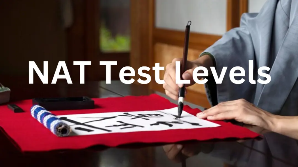 NAT test sections